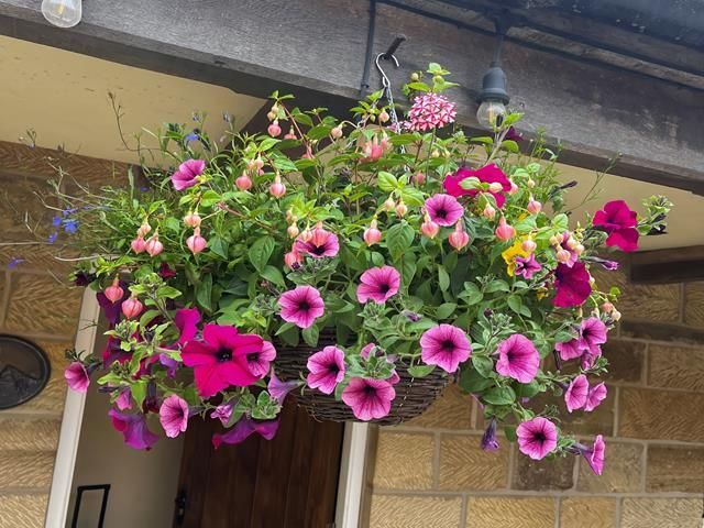 commercial-hanging-baskets (7)-kireth-ai